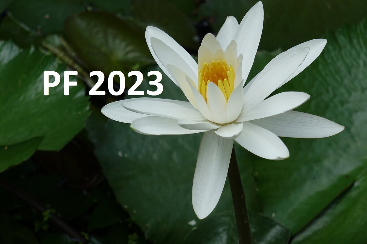 PF 2023